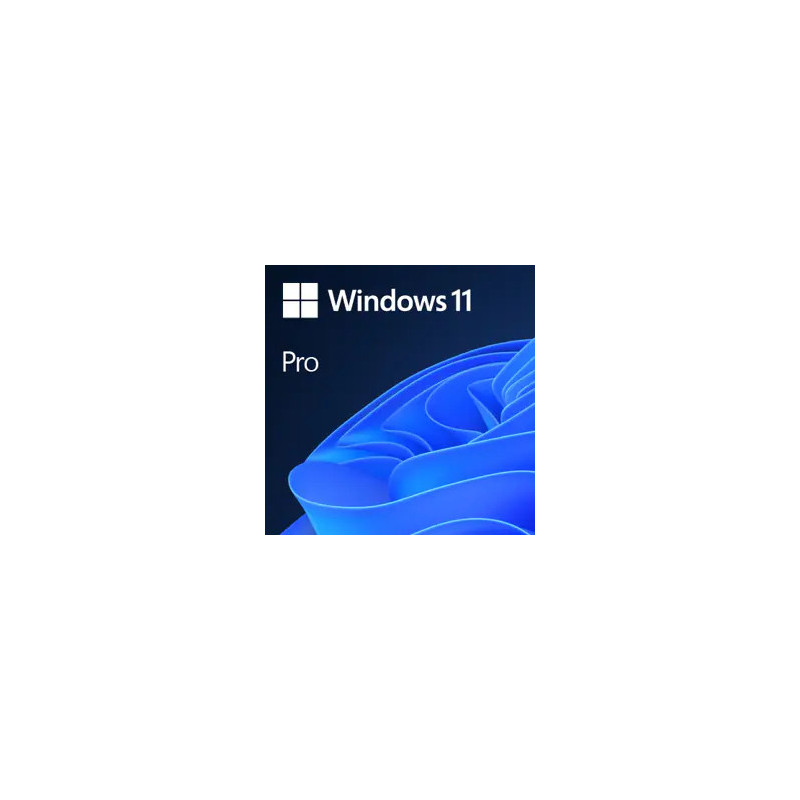 Windows 11 PRO